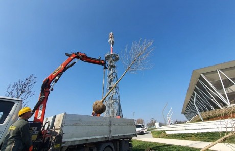 Fatelepítés volt szerdán a Sóstó Természetvédelmi Területen is